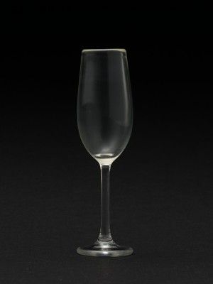 Champagne-Glass_560746_01